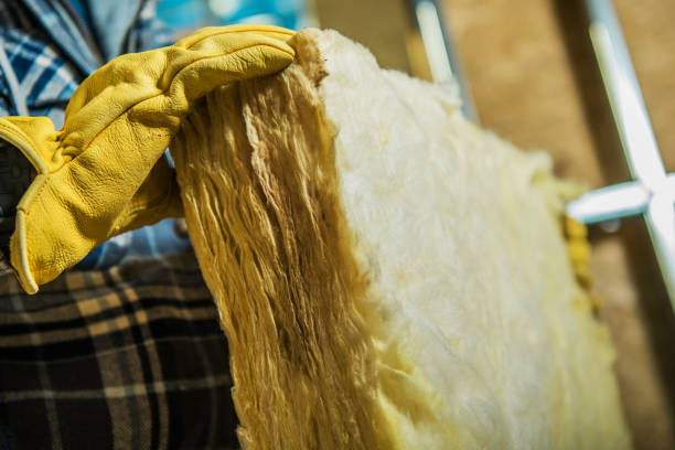 Best Geographic-Specific Insulation Services in Kaser, NY